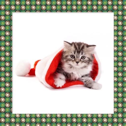 Christmas Photo Frame - HD