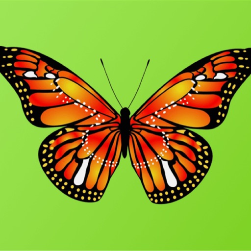 Beautiful Butterfly Sticker Pack icon