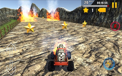 Cat Car Rally 3D screenshot 3