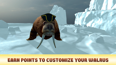 Arctic Walrus Surviva... screenshot1