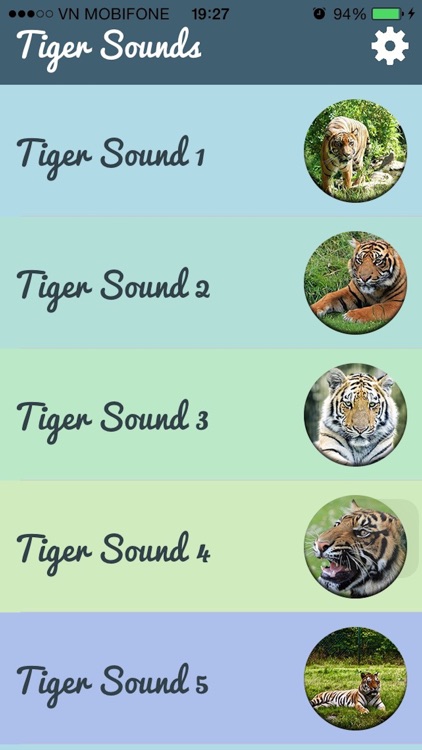 Tiger Sounds - Tiger Sounds for Kids