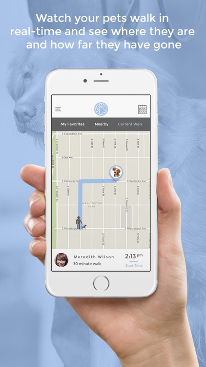 Walking Paws On-Demand Service