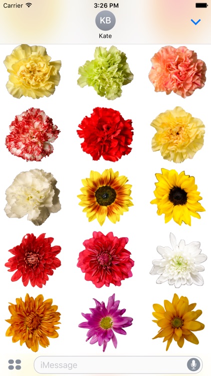 Flower Stickerz screenshot-3