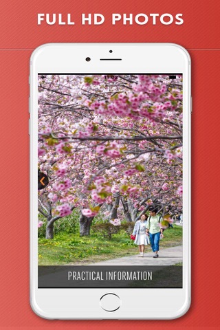 Hokkaido Travel Guide Offline screenshot 2