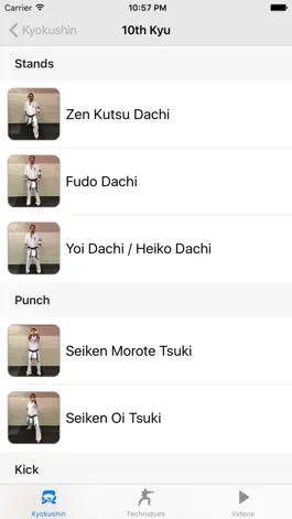 Game screenshot myKyokushin apk