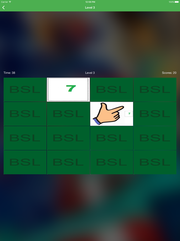 BSL British Sign Language iPad screenshot 5 - Education app
