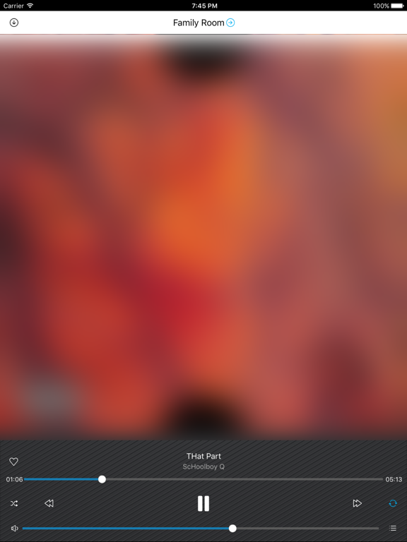 DOSS link iPad screenshot 5 - Music app