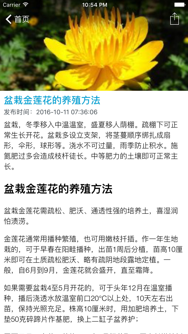 阳台养花 screenshot 3