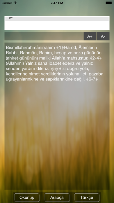 Screenshot #2 pour Fatiha Suresi