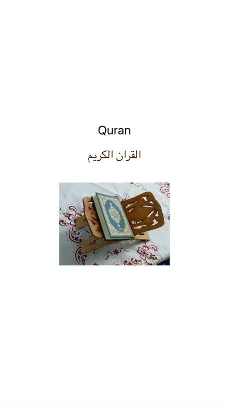 القران الكريم كاملا بالصوت