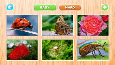 Screenshot #3 pour nature Fleurs et insecte scie à chantourner puzzle