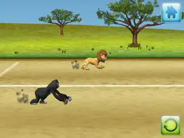 Game screenshot M36 Animal Race hack
