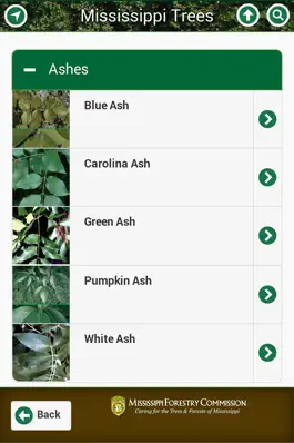 Game screenshot Mississippi Trees hack