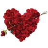 Rose Day Valentine Animated