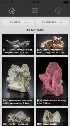 CityU Mineralsのおすすめ画像2