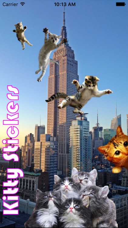 Kitty Stickers-Superimpose Photo Stamps!