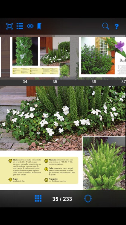 Plantas Ornamentais - Volume 1