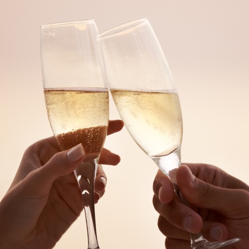 Champagne Glasses Design Ideas, Wine Glass Designs icon