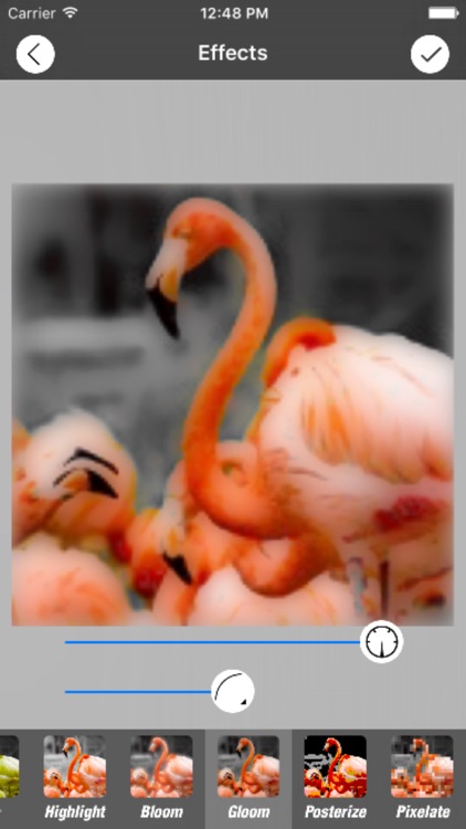 Photoscape - Colors Accent