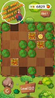 my sokoban puzzles iphone resimleri 4
