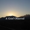 Quick Wisdom from A Grief Observed:Key Insights