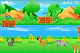 Game screenshot Cat and Dogs apk