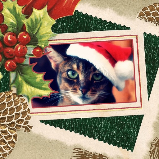 Xmas 2017 Photo Frames iOS App