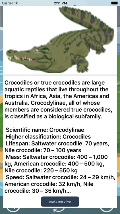 Fun with Crocodile - Angry Crocodile in Sea screenshot-4