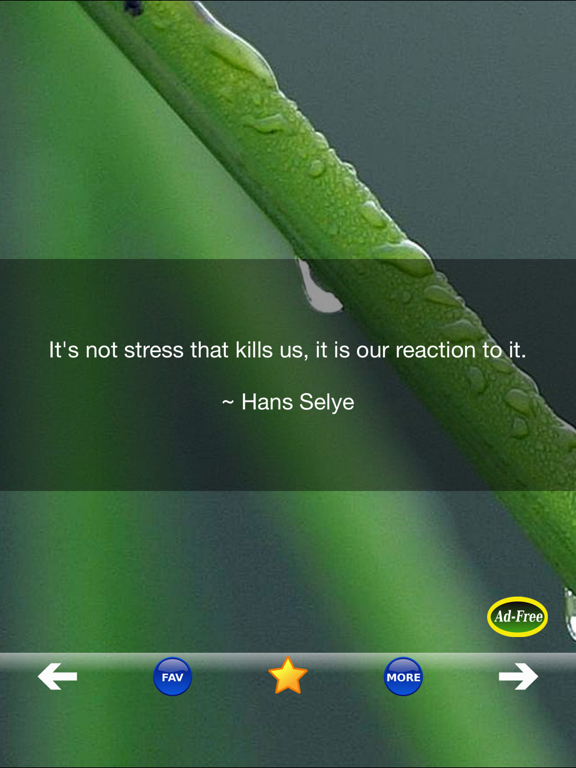 Anti-Stress Quotes! Stress Relief & Anxiety Relief Free App for Mental Health screenshot