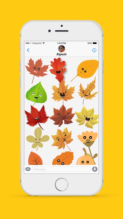 Autumnoji - Autumn Leaf Emoji & Pumpkin Sticker.s