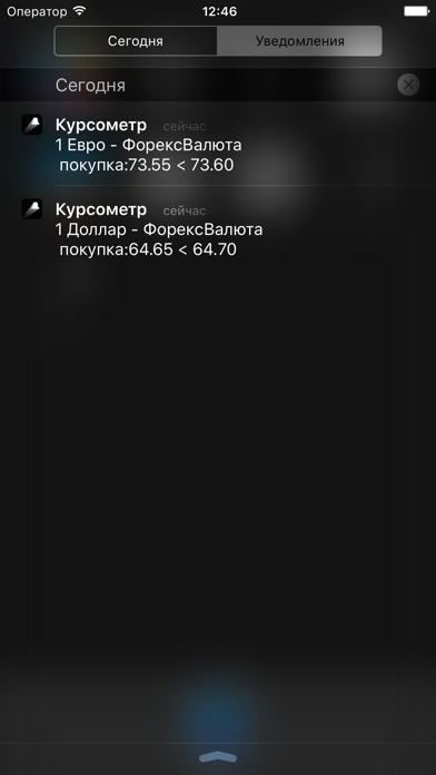 Курсометр screenshot 3