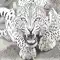 Animals Stickers Pack anmeldelser