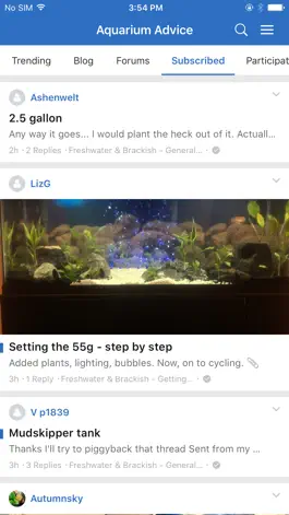 Game screenshot Aquarium Advice Forums mod apk