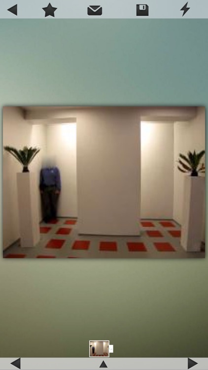 Best Optical Illusions