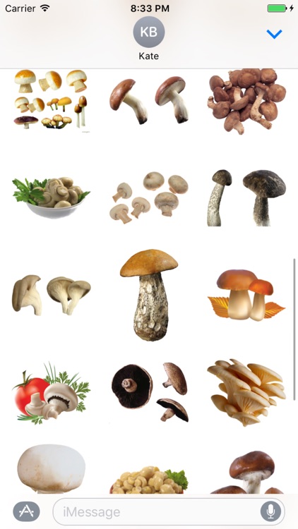 Mushroom Stickers!