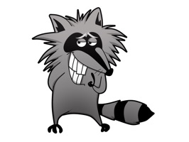 Raccoon