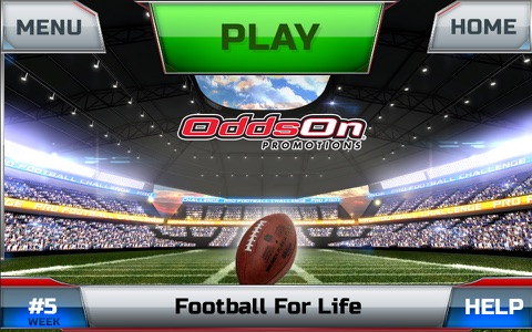 Pro Football Challenge screenshot 3