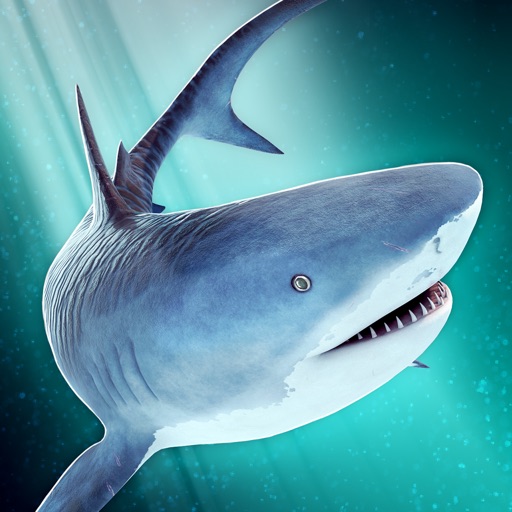 World of Sharks | Fun Deep Sea Shark Simulator Game iOS App