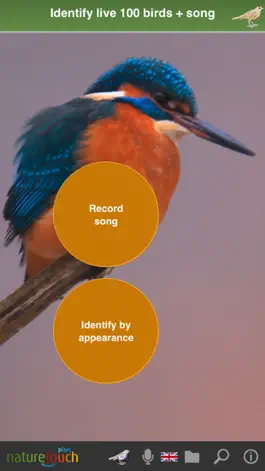Game screenshot Identify live bird songs mod apk