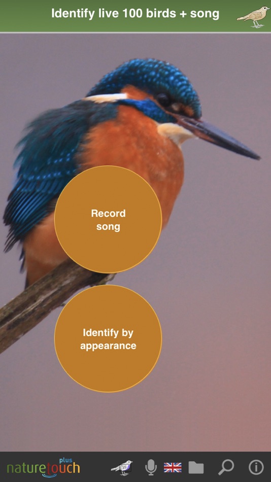 Identify live bird songs - 2.2 - (iOS)