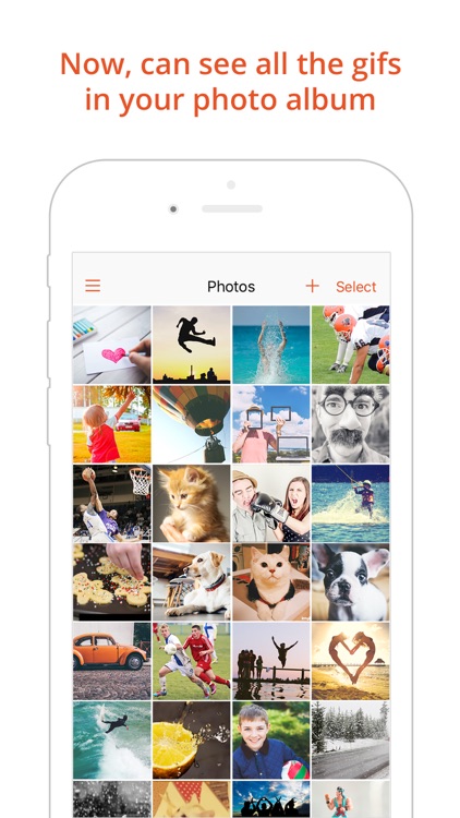 GIF Viewer - The GIF Album