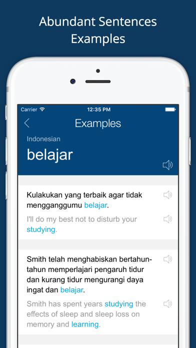 Indonesian English Dictionary+ Screenshot