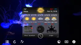 aquarium 4k - ultra hd video iphone screenshot 3