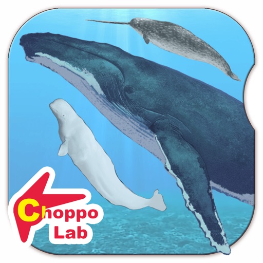 Whales & Dolphins of the World -Simple Pictorial Book Kids Game - Icon