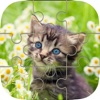 Cat Kitten Jigsaw - Puzzles Games for Girls Who Love Baby Animals