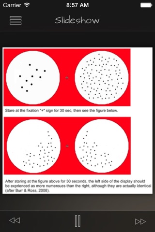 Optical Illusions Info + screenshot 3