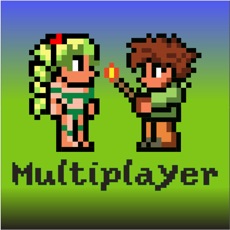 Activities of Multiplayer Terraria edition