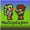 Multiplayer Terraria ...