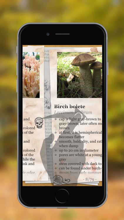 The Mushroom Book PRO