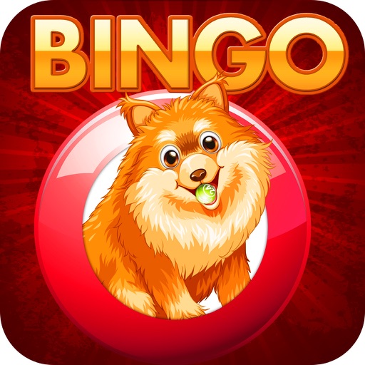 Doge Bingo - Free Bingo Game iOS App